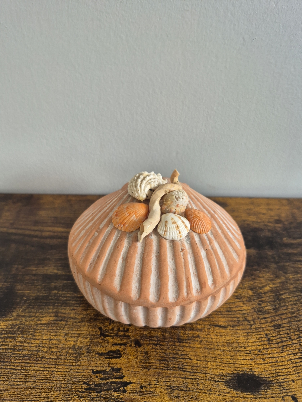 Seashell Accent Trinket Box in Soft Coral